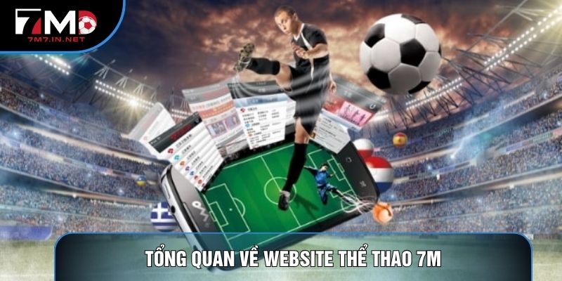 Tổng quan về website thể thao 7M