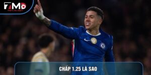 Chấp 1.25 Là Sao Và Cẩm Nang Đọc Kèo Chấp Trái Rưỡi