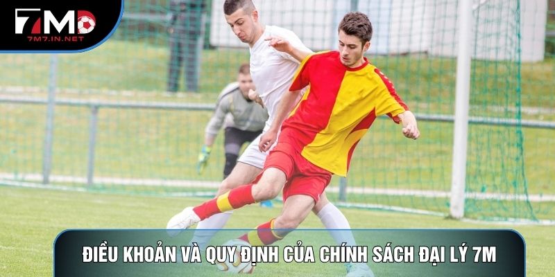 Điều khoản và quy định của chính sách đại lý 7M