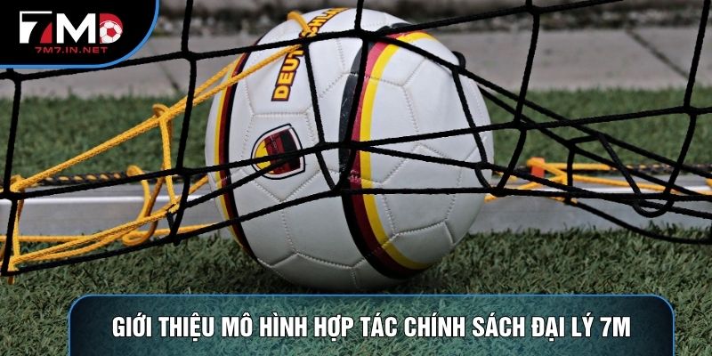 Giới thiệu mô hình hợp tác chính sách đại lý 7M
