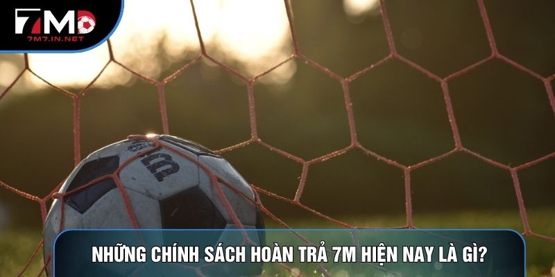 Những chính sách hoàn trả 7M hiện nay là gì?