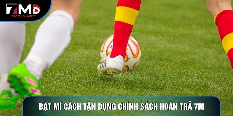 Bật mí cách tận dụng chính sách hoàn trả 7M