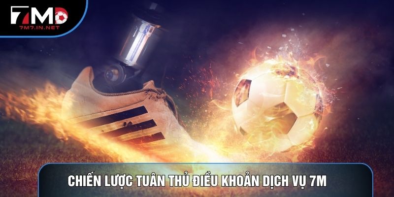 Chiến lược tuân thủ điều khoản dịch vụ 7m