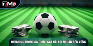 Dutching Trong Cá Cược: Gặt Hái Lợi Nhuận Bền Vững