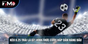 Kèo 0.25 Trái Là Gì? Hình Thức Cược Hấp Dẫn Hàng Đầu
