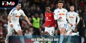 Kèo Đồng Nửa Là Sao? Cách Chơi Kèo Chấp 0.25 Hiệu Quả Nhất