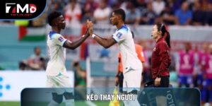 Kèo Thay Người Và Nghệ Thuật Dự Đoán Thay Đổi Nhân Sự