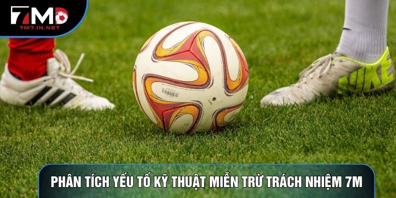 Phân tích yếu tố kỹ thuật miễn trừ trách nhiệm 7M