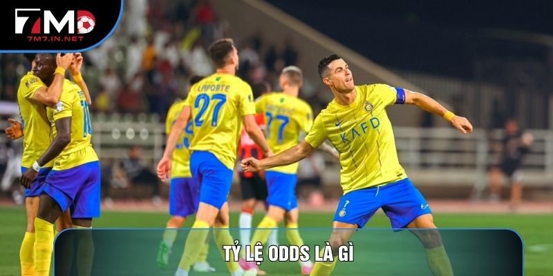 Tỷ Lệ Odds Là Gì Và Hướng Dẫn Cách Đọc Thông Số Cá Cược 