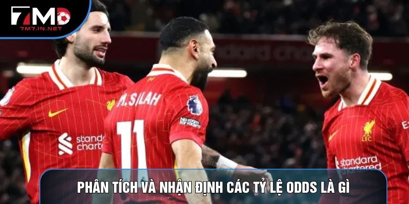 Phân tích và nhận định các tỷ lệ Odds là gì