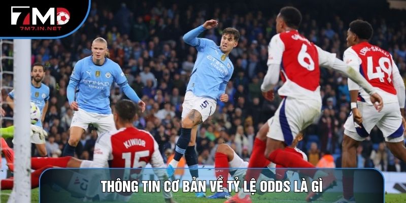 Thông tin cơ bản về tỷ lệ Odds là gì